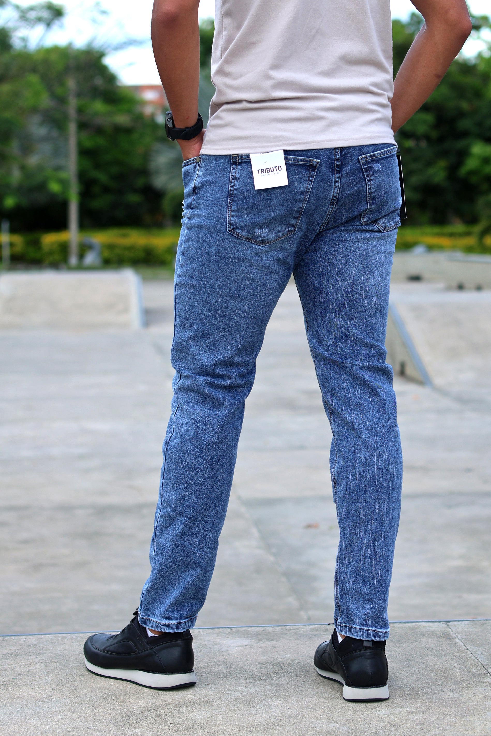 Ref 1009 hielo