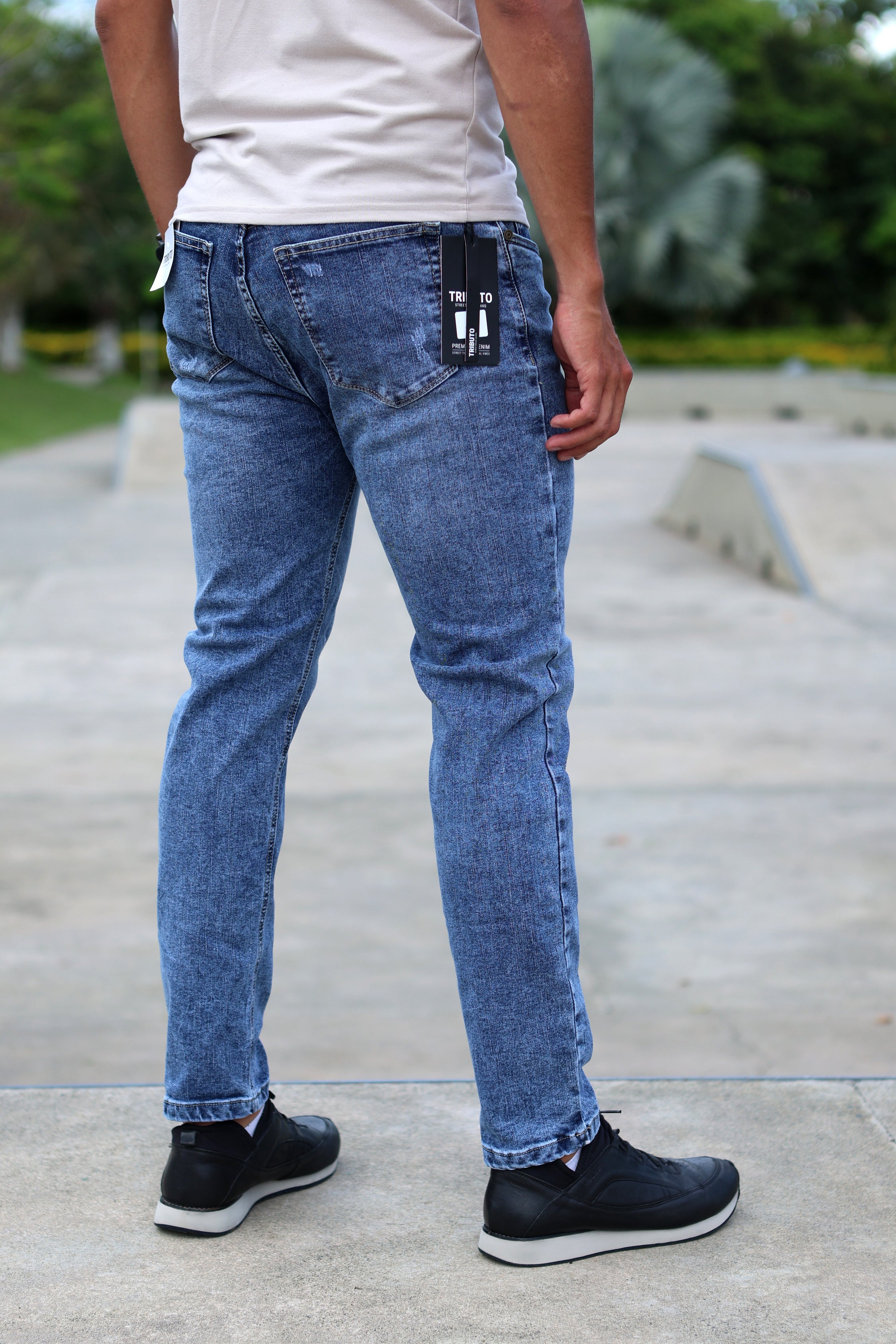 Ref 1009 hielo